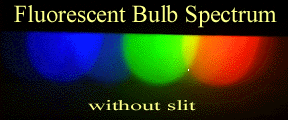 Fluorescent Bulb Spectrum 19K